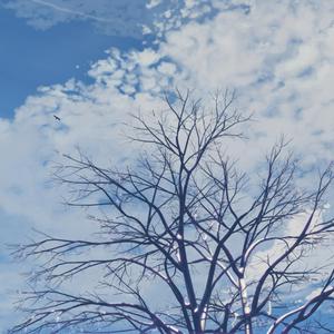 欧美大码变态另类
