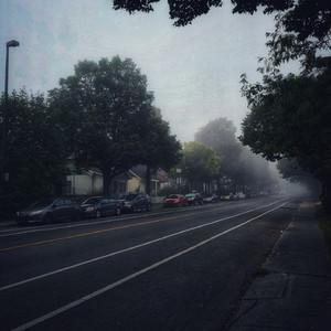 欧美大码变态另类
